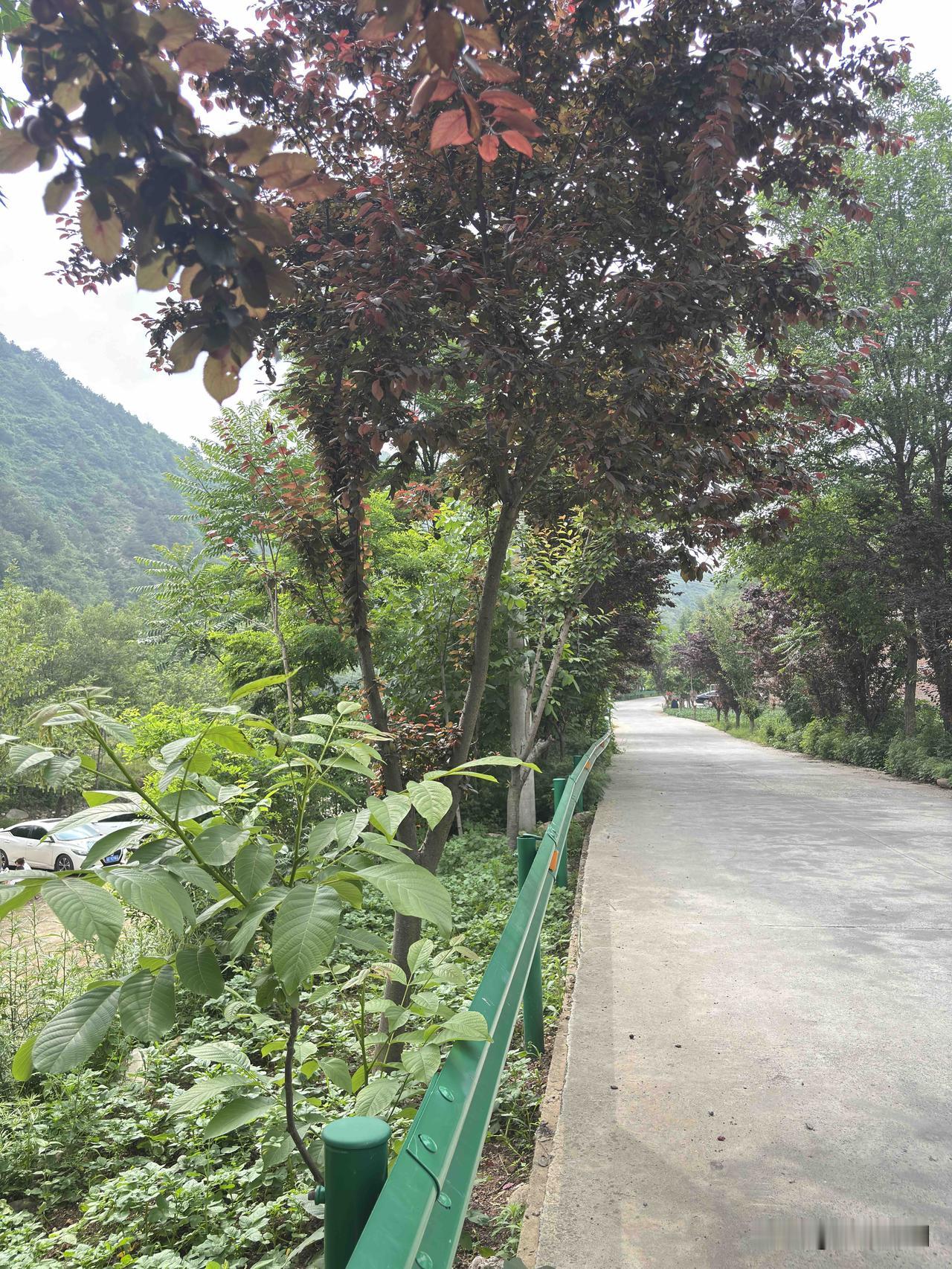 蓝田清峪，今年新建了一些停车场，以前来这里，车没处停，停在路边，容易堵车，新修的