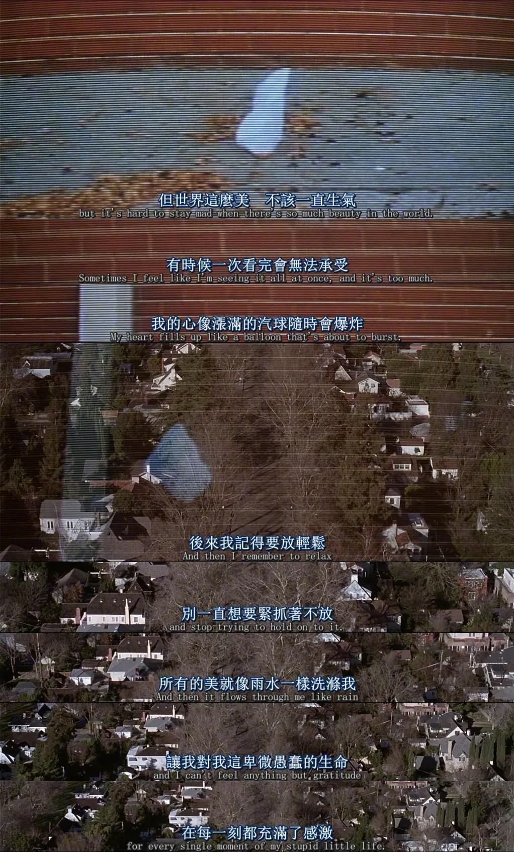 分享图片 ​​​