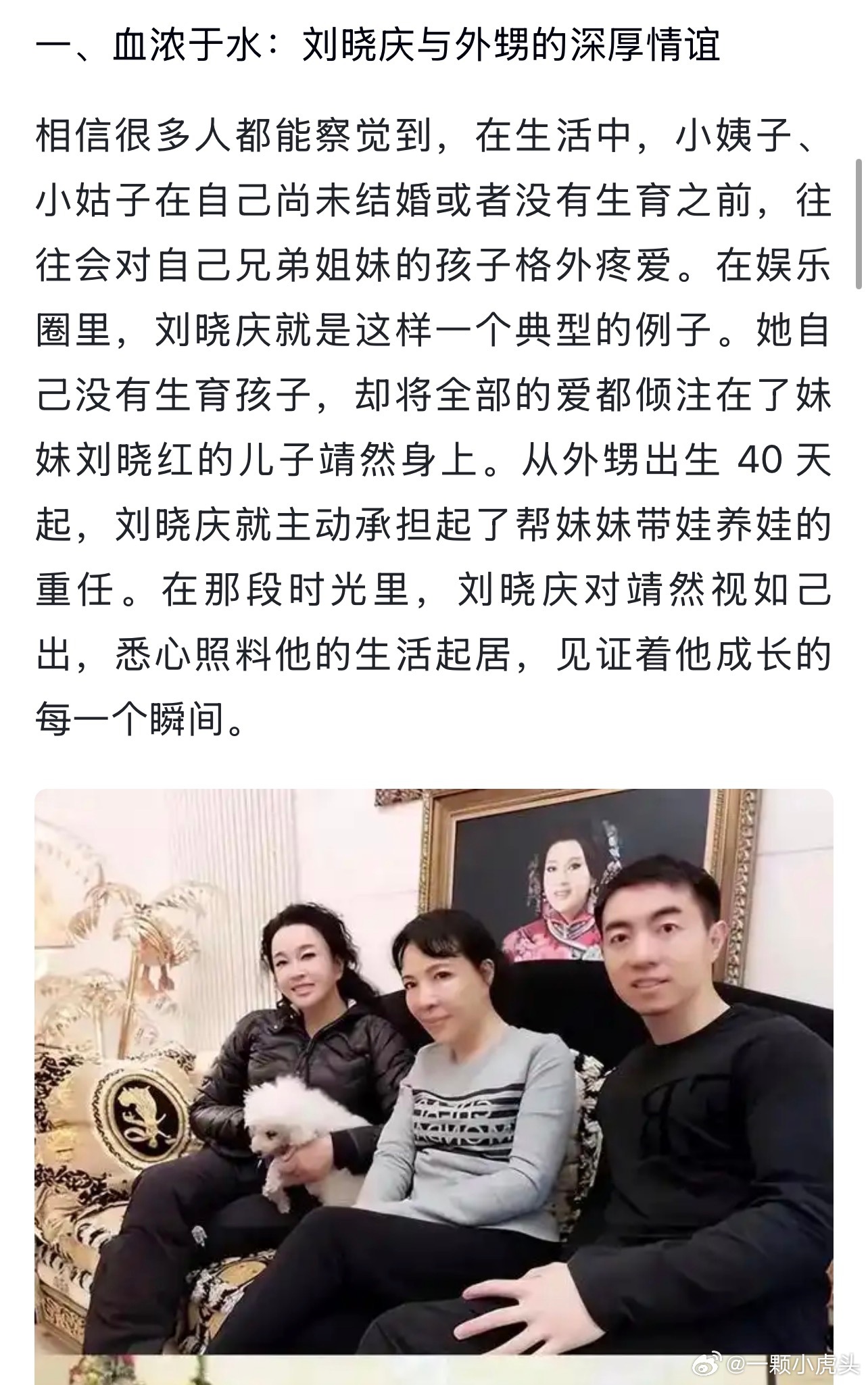 好像就是之前和刘晓庆亲如母子的那个妹妹的儿子，刘晓庆一无所有后，她这些亲人也全都