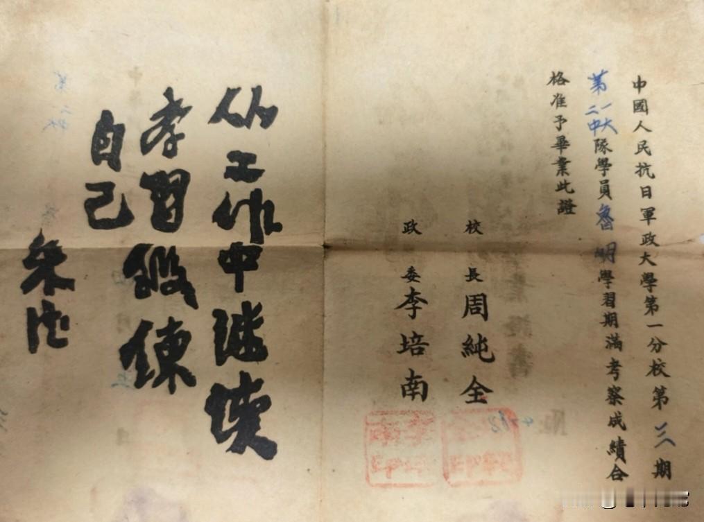 外公的资历不浅啊！