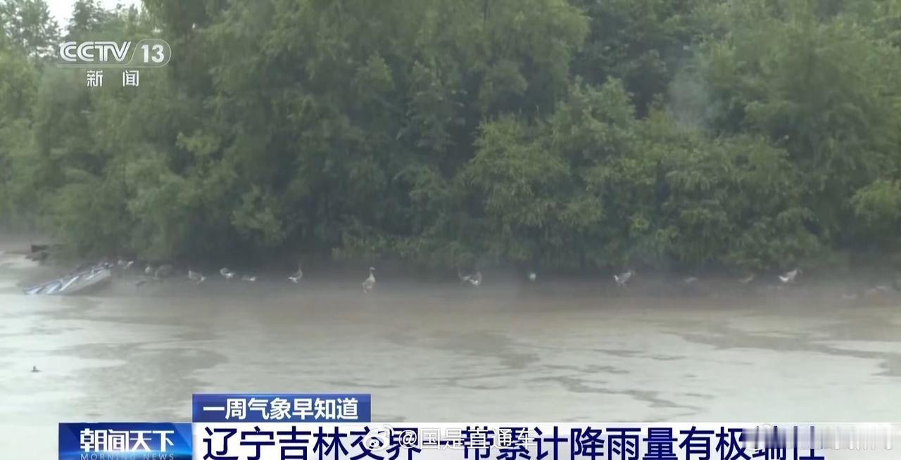 受台风巴威北上影响，辽宁迎来持续性强降雨，多地遭遇暴雨、大暴雨袭击，防汛形势严峻