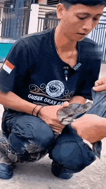 竟然还有心思测试毒舌牙齿的锋利性～