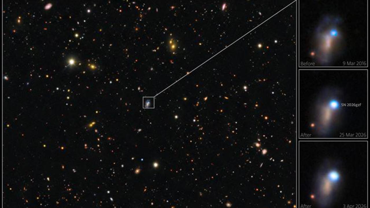 一颗体积是太阳20倍的恒星在超新星爆发中消亡——世界各地的望远镜齐心协力观测了这