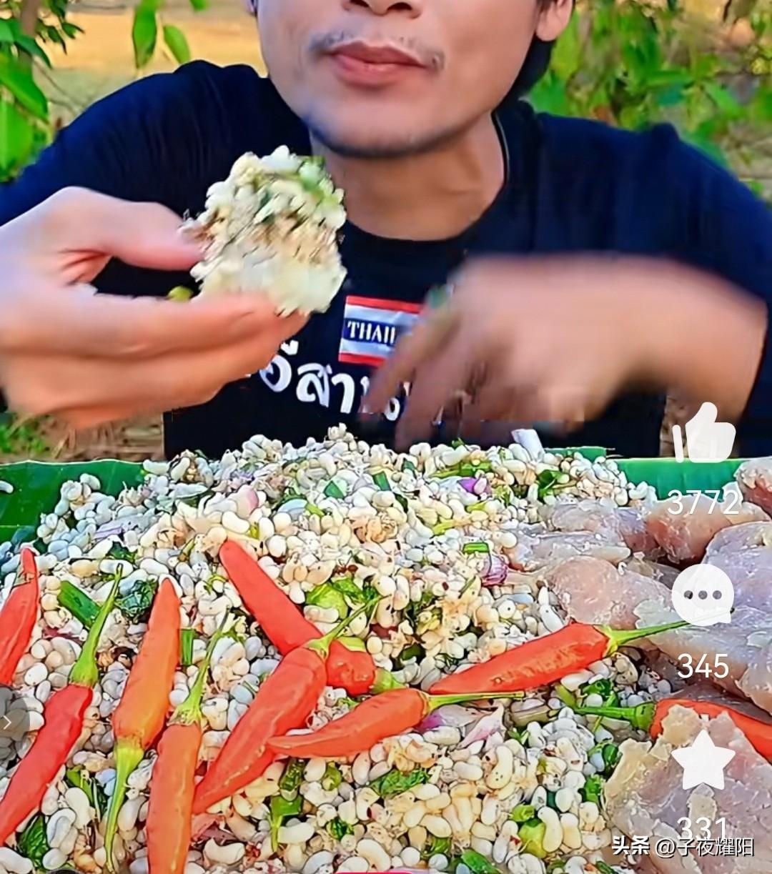 蚂蚁蛋，这种东西别说吃了，很多人可能见都没见过。
图中一泰国小哥就坐在野外品尝着