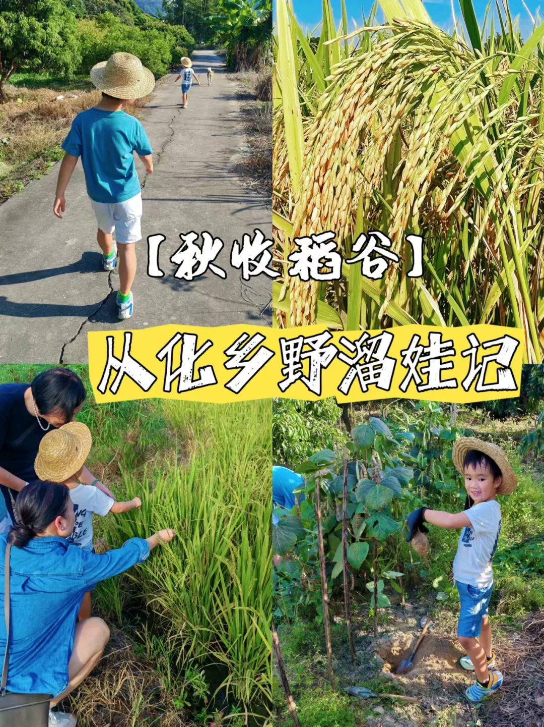 秋收体验，带城里娃来从化村里赏秋