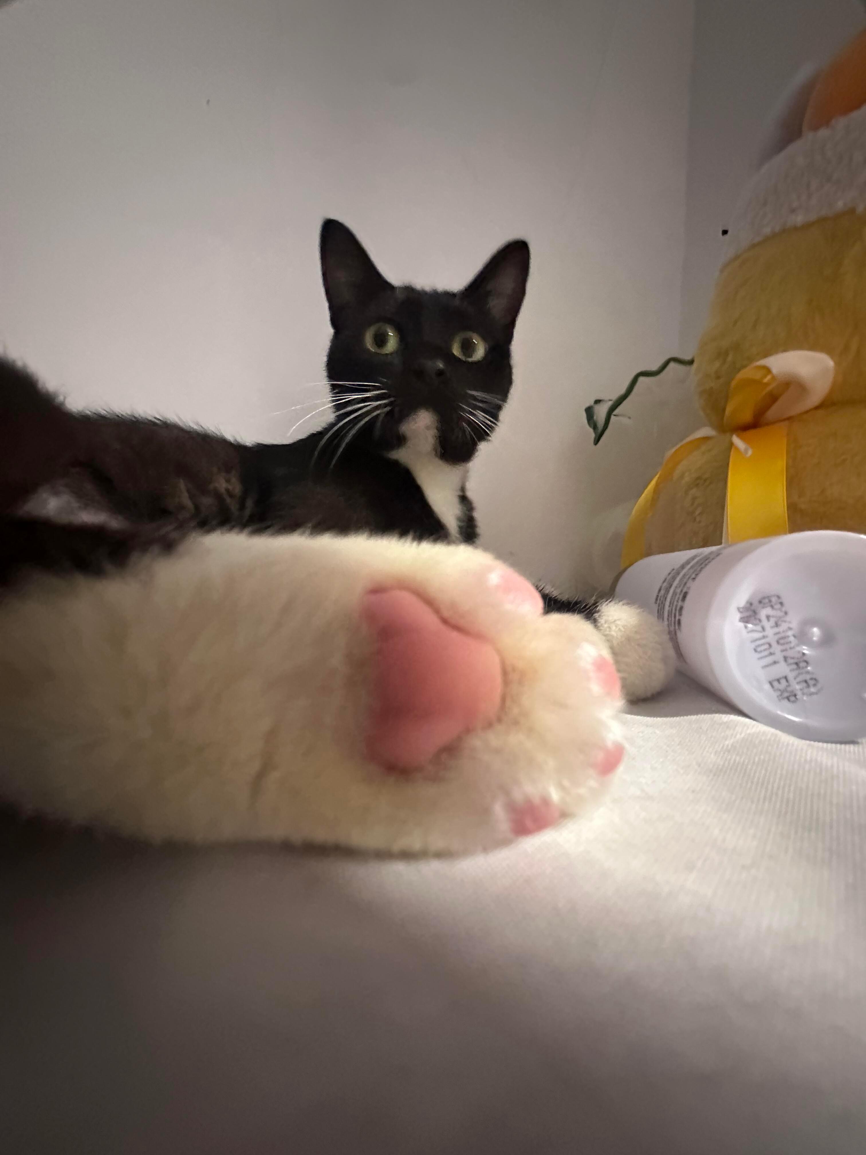 今日要闻！ 