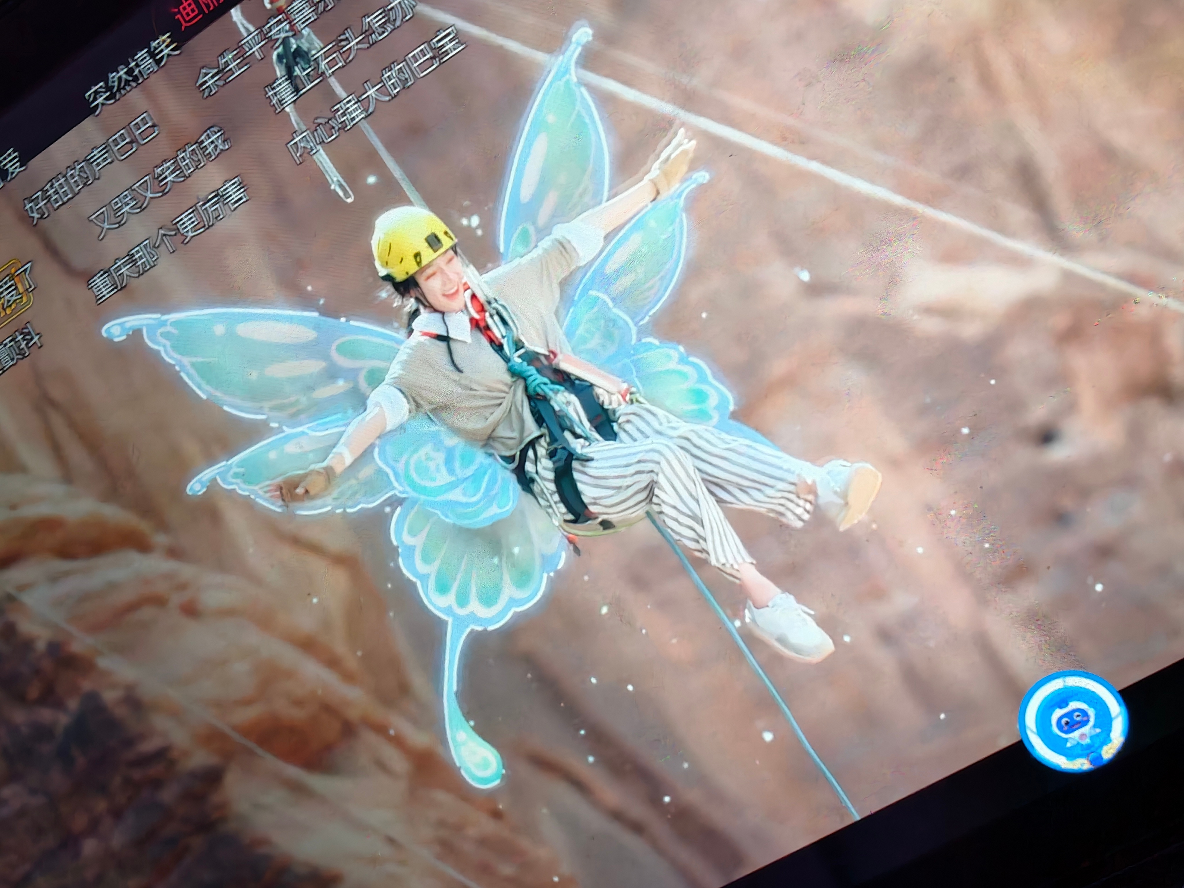 🦋 