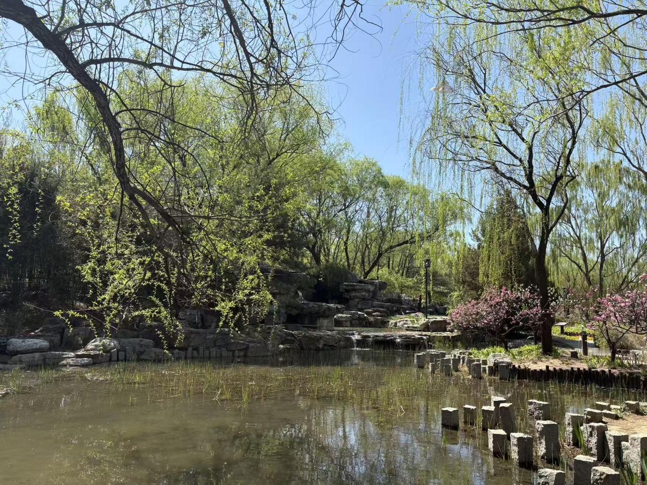 春日生活打卡季 春日的美丽风景，总能让人沉醉。像陆深笔下“湘帘面面拥孤亭，雨弄春