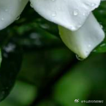 每日一善每日一善‎阳光‎信用 🌞极好784，均🉑蹭🉑转与优质用户保持良好的