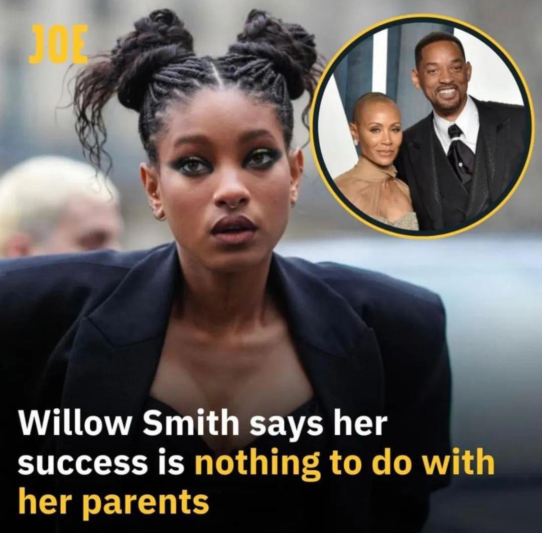 美国歌手兼演员 Willow Smith 公开表示，她在娱乐圈目前所取得的非凡成