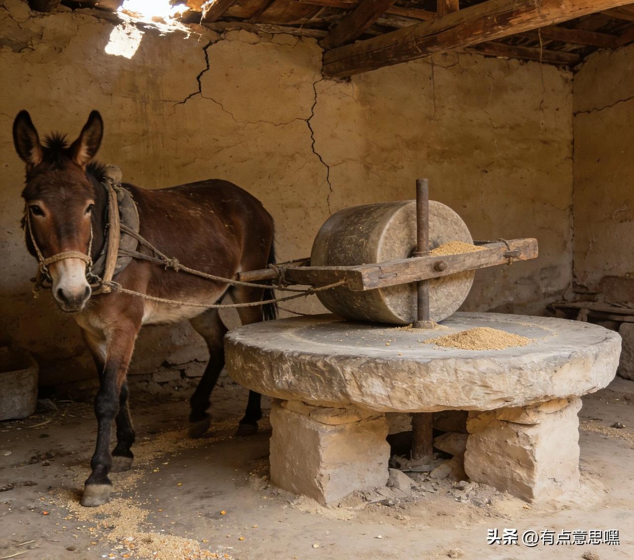 扎心了，老铁！

写了几篇关于某多美拒招北京人的文章，今天再从另一个角度来说说。