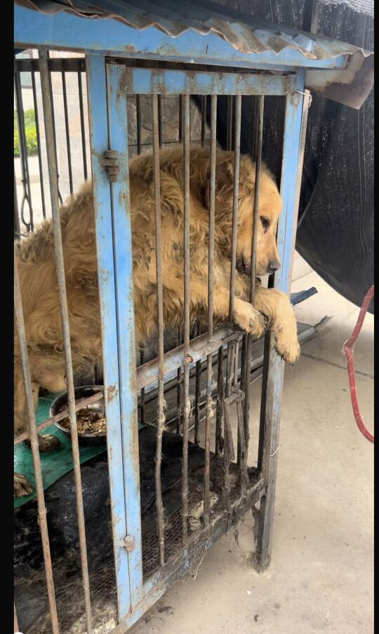 金子又一条视频笔记被举报删除了。。。