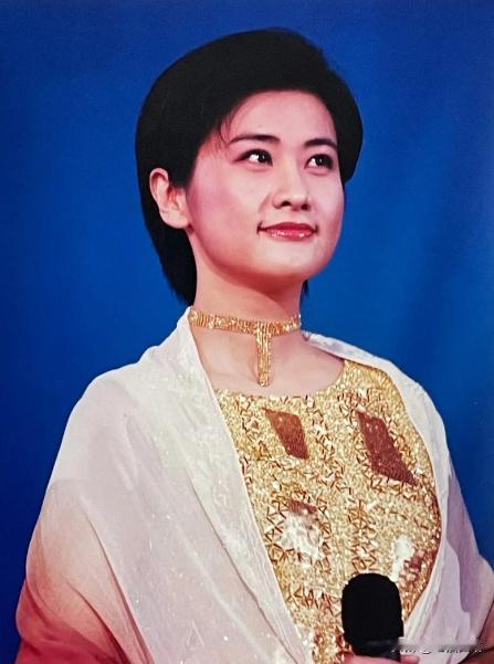 2000年，凤凰卫视主持人吴小莉为了却父亲心愿，到浙江寻找同父异母的哥哥，不料，