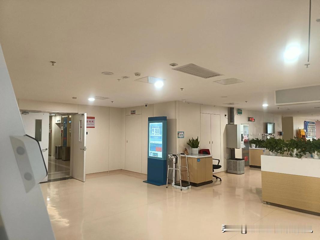 春日生活打卡季