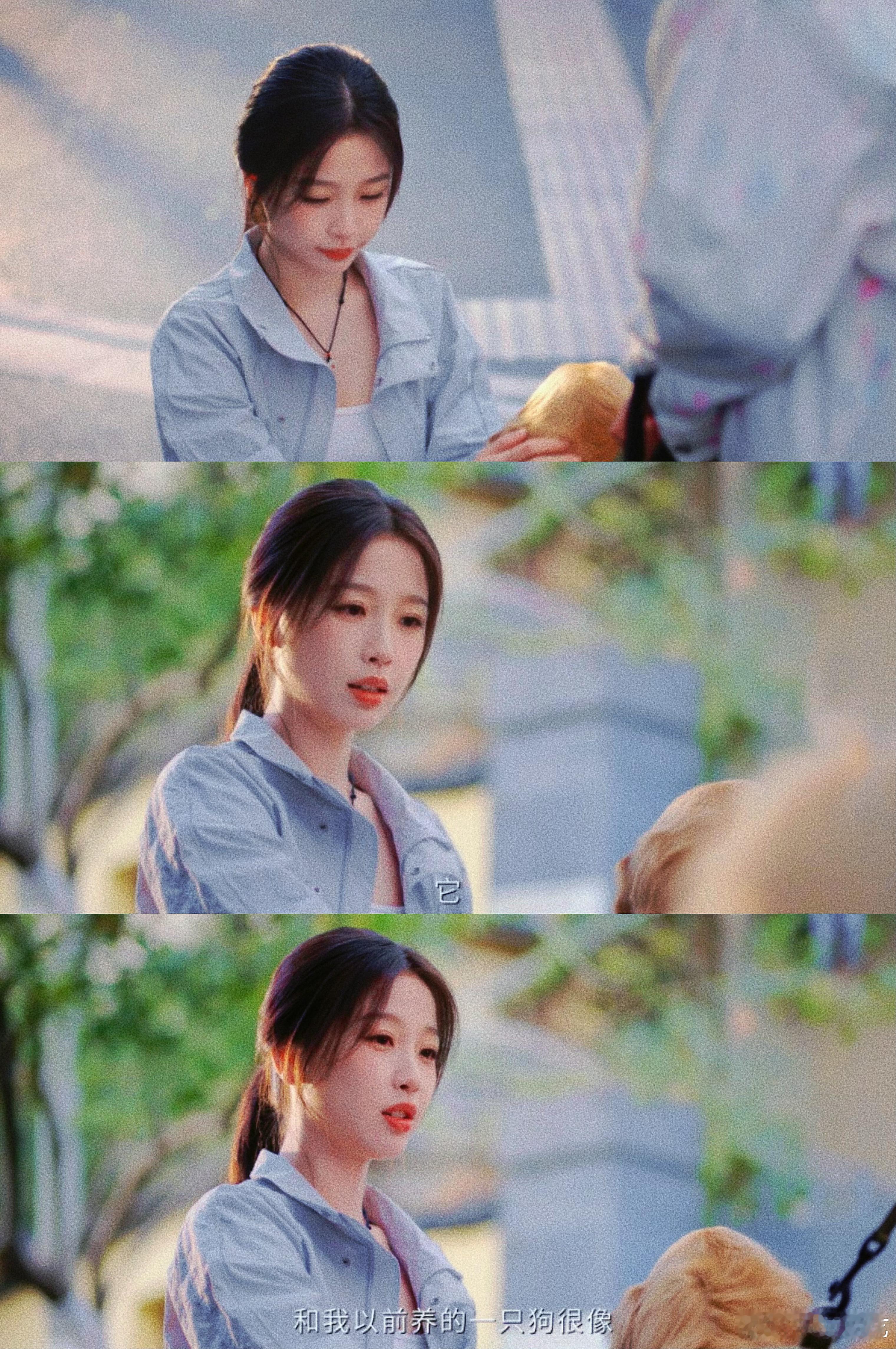 我的cp重逢靠汪汪队立大功被暮暮朝朝的重逢狠狠戳中！数年未见杳无音信，全靠闪电一