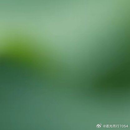 阳光信用阳光信用每日一善 世界上最远的距离不是生与死，而是知道与做到之间的距离；