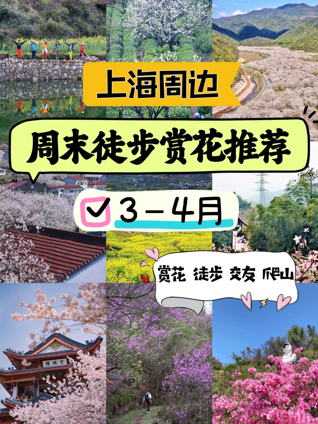 上海周边徒步赏花推荐‼️3-4月不可错过