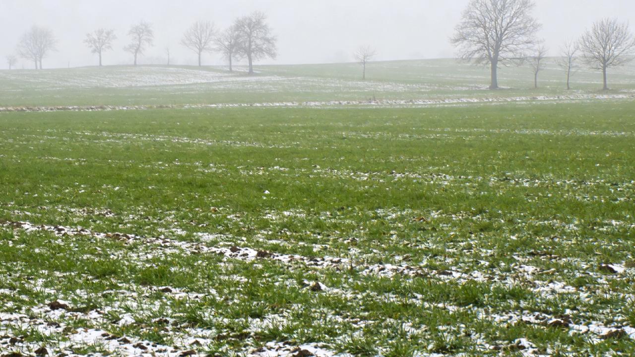 图们：清明“六天超级旅游”盛宴将启

        清明小长假临近，图们即将迎