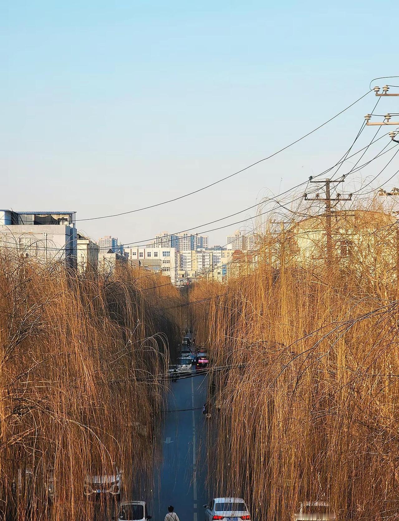 临汾的朋友，这是哪条路？有能认出来的吗？ 胡同 临汾文旅 爱临汾赢未来 城市记忆