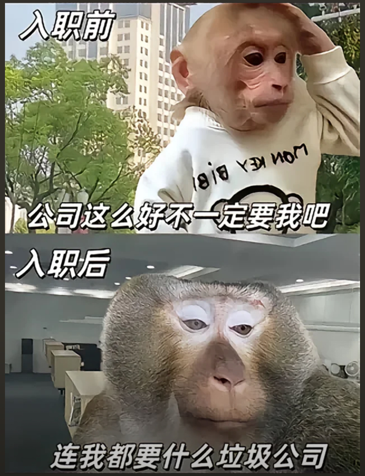 好精辟，打工人狠狠共情 ​​​