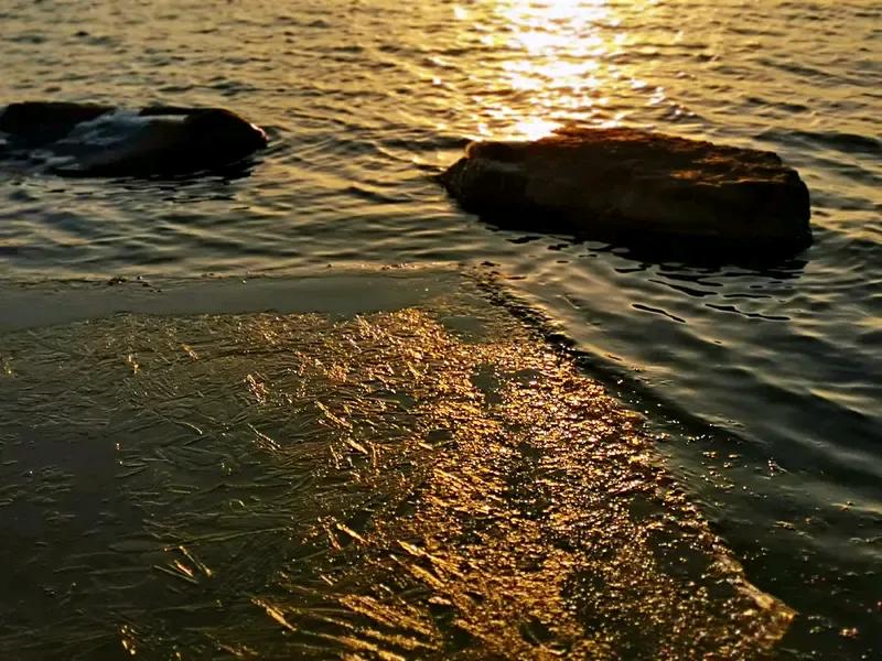 三九第一天，寒冷仿佛给世界按下了冰冻键。街角梧桐只剩寥寥几片叶，车窗结满冰花，呼