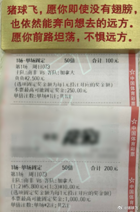 南非拼劲十足，但面对加拿大的压迫真能顶得住吗？073 世界杯：南非vs加拿大天气