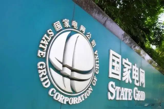 “现在的孩子真任性！”一位网友说，自己所在国家电网两个孩子说干就不干了，这两个孩