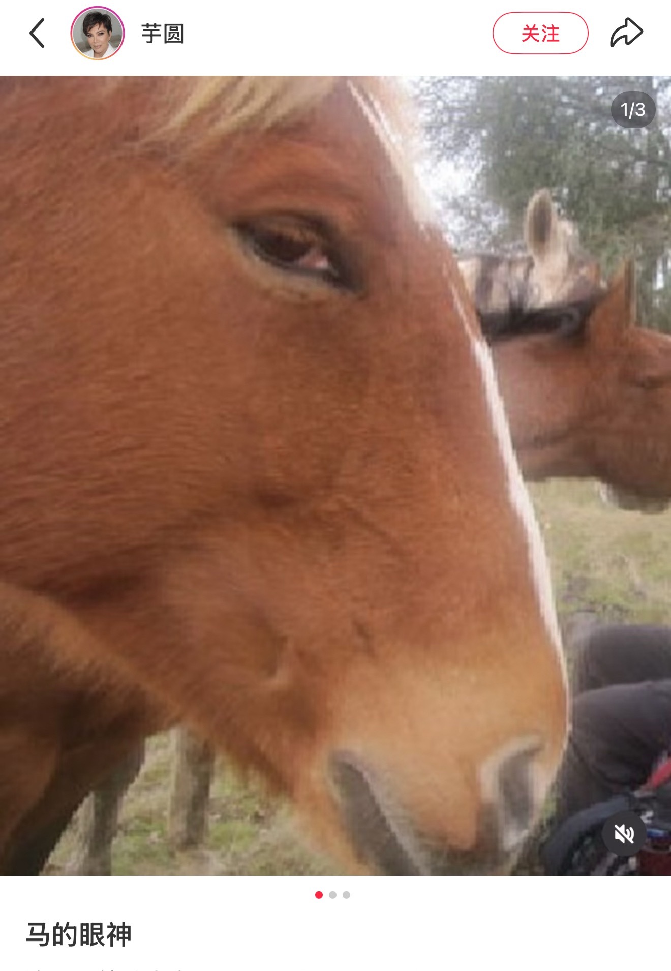 五代唯一马眼男 