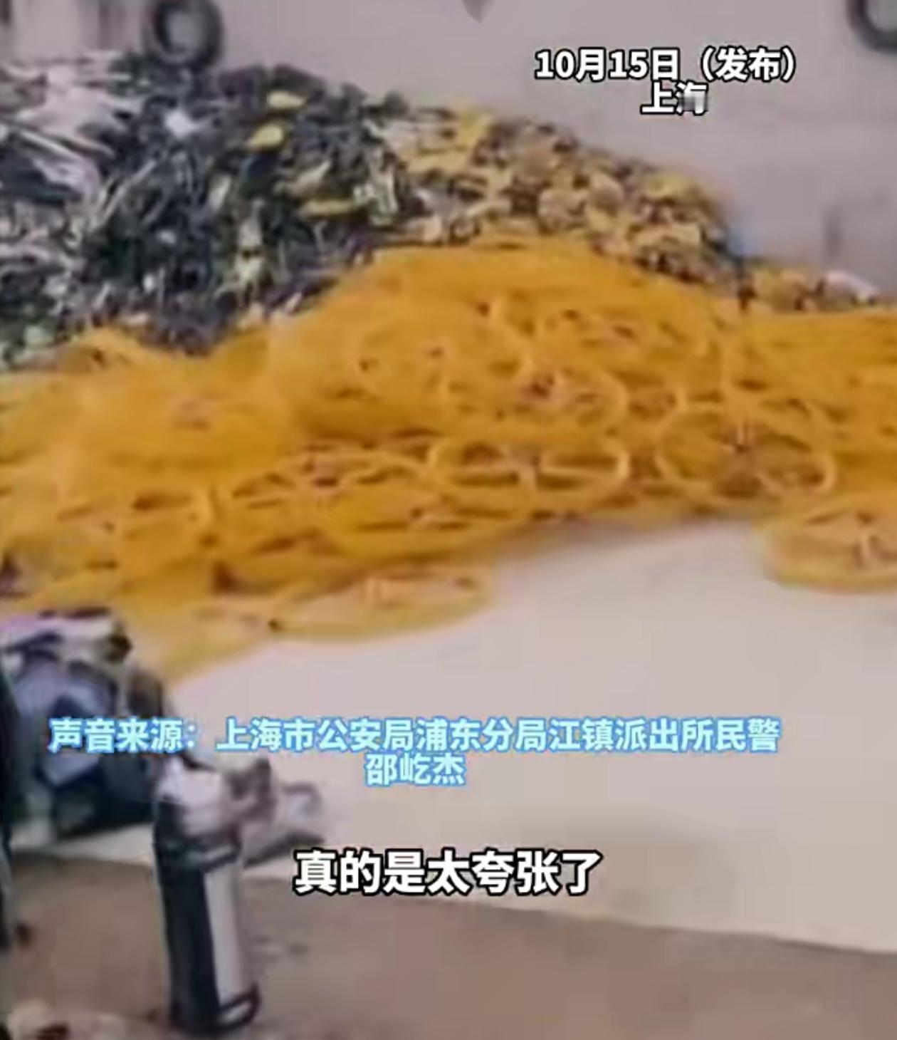近期，上海警方成功破获一起重大共享单车盗窃案，抓获李某等11名犯罪嫌疑人。该团伙