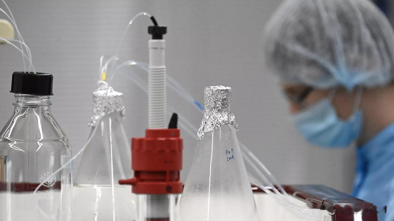 美媒：由于医疗体系薄弱新一轮埃博拉疫情将更难控制

美国媒体援引专家意见称，刚果