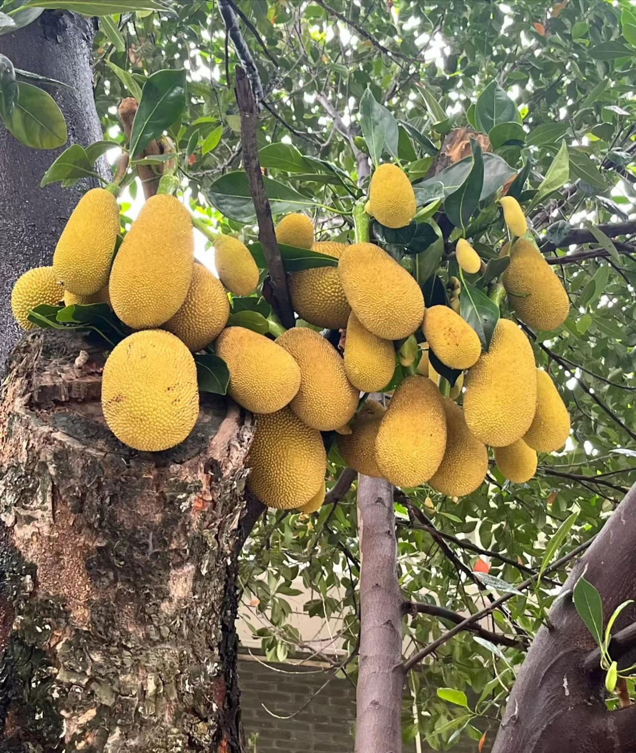日子艰难时，总归是要过下去的，不妨审视一下自己该如何度过。
日出日落，月满月亏，