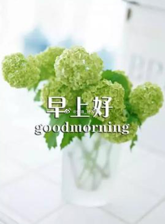 早安 心怀热爱，奔赴新一天的美好。早上好！ 