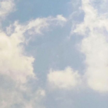 每日一善 🌸每日一善 🌸阳光信用 🌸信心锻造伟业，信念燃烧激情，欲望产生希