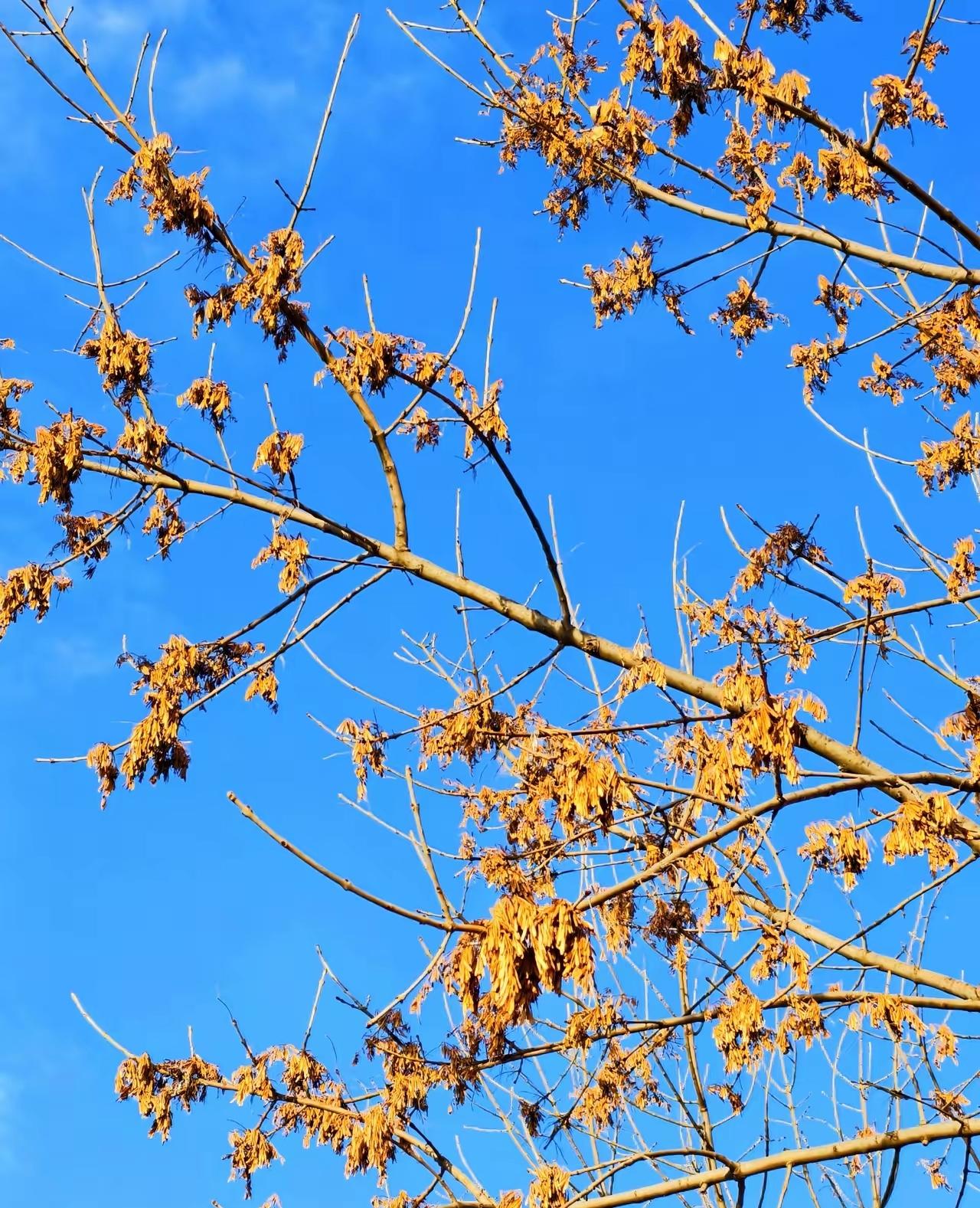 如果房价跌了，心里会不会难过，得看站在啥立场。
要是早就买了房，那心里指定不好受