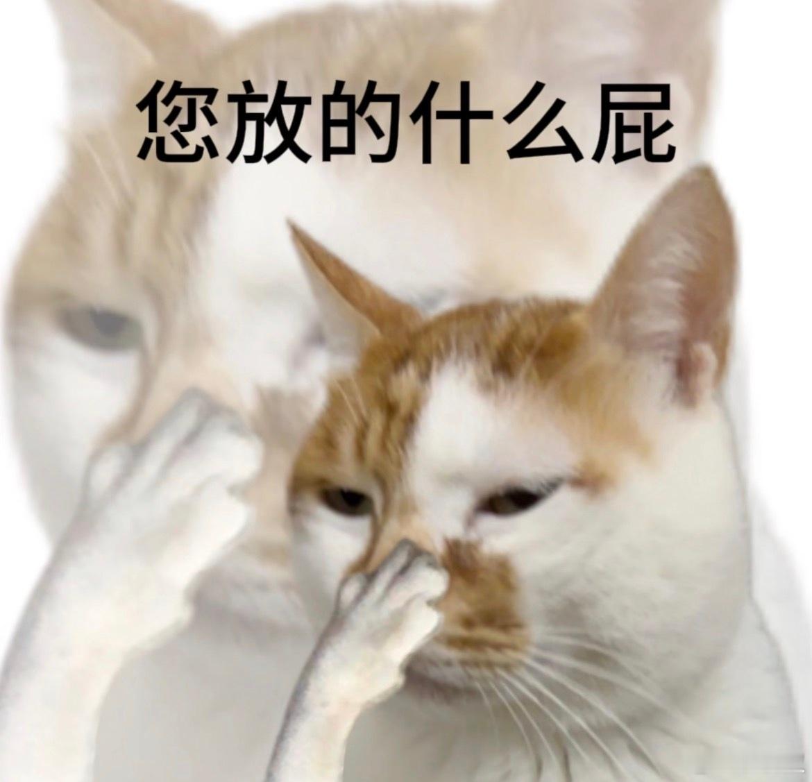 吴克群在舞台上展现了非凡的勇气和担当，他不仅完成了自己原定的八首曲目，还主动承担