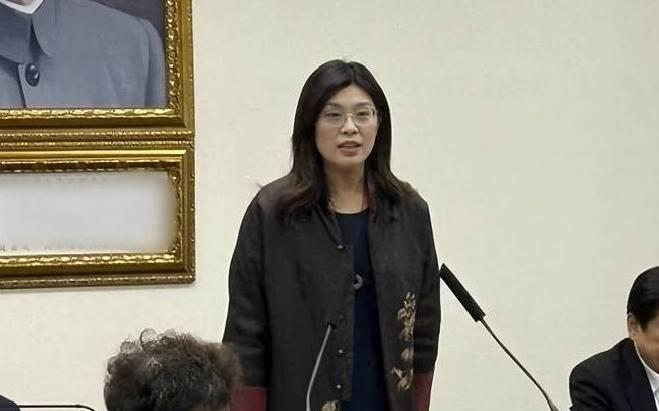 民众党发起抗议活动，郑丽文、傅崐萁下令声援，蒋万安表现不一般

3月27日判决出