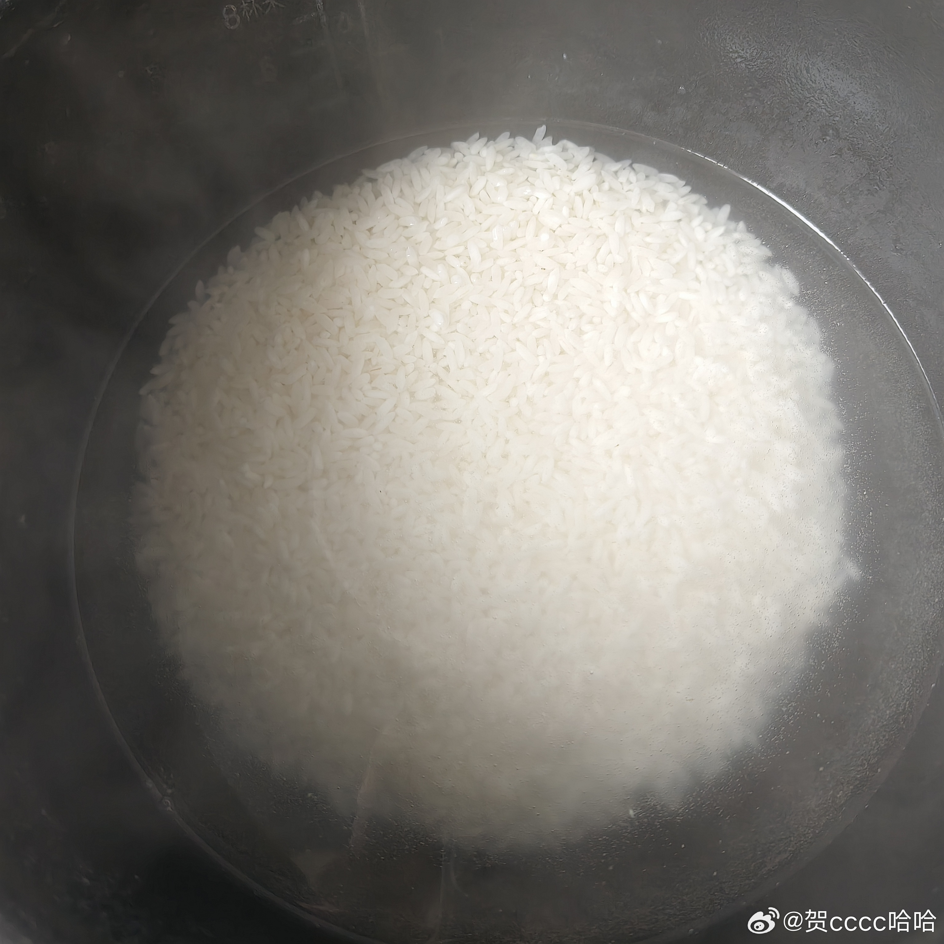 大傻子2做了半个小时的米饭 