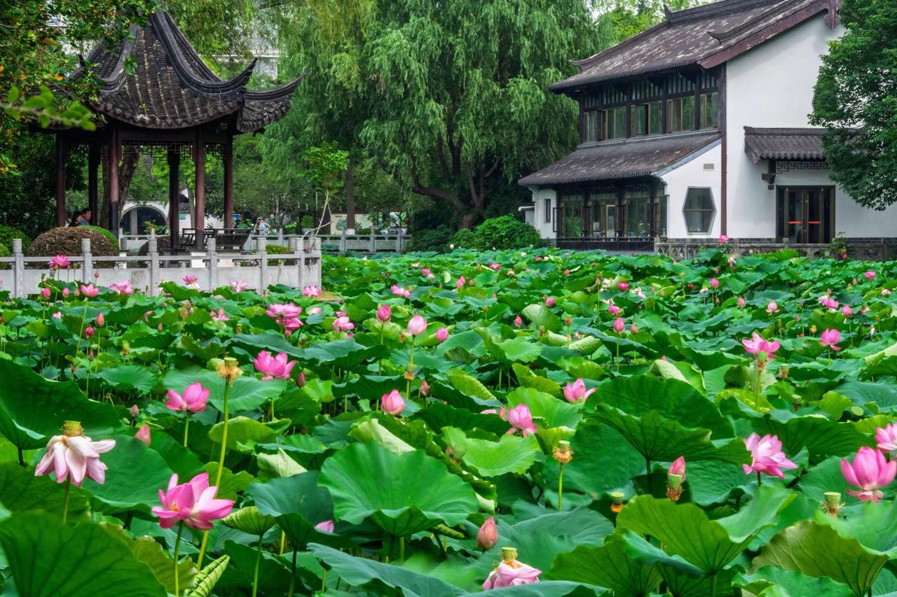 南京莫愁湖。南京莫愁湖