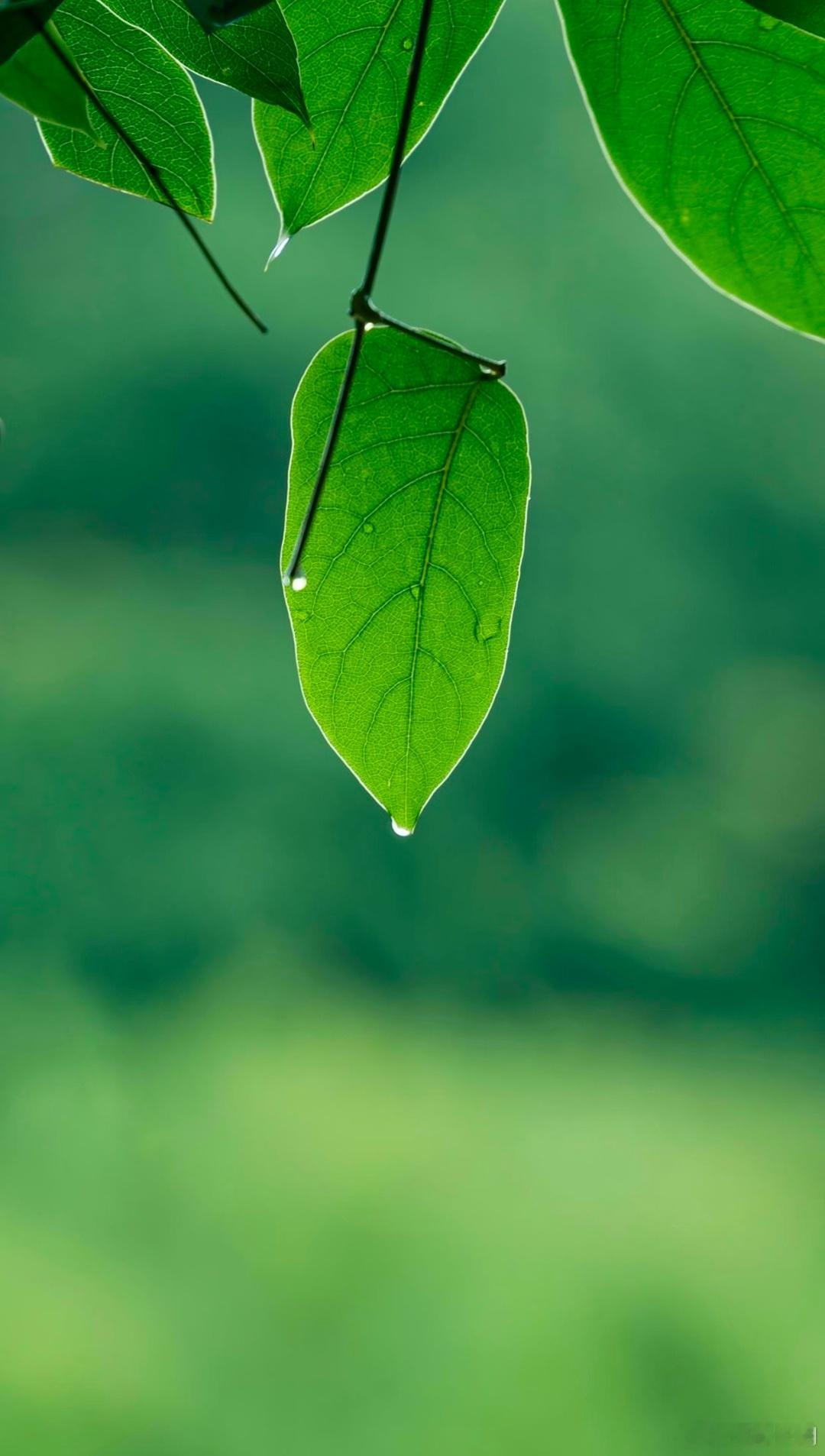 心存善念是一个人为人处世，能够秉持着善良的心态去对待别人，不断地保持善意，尽可能