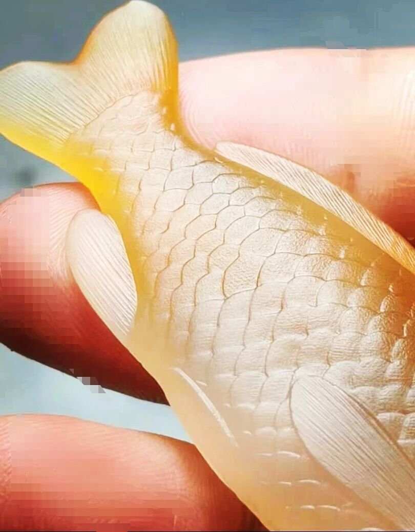 随想杂感 祝全球粉丝们，中秋节快乐！吃过有余。  ​​​