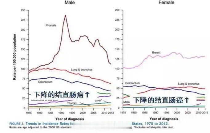 近40年间，结美国直肠癌发病率以每年3%的速度稳步下降。主要原因就在于筛查的普及