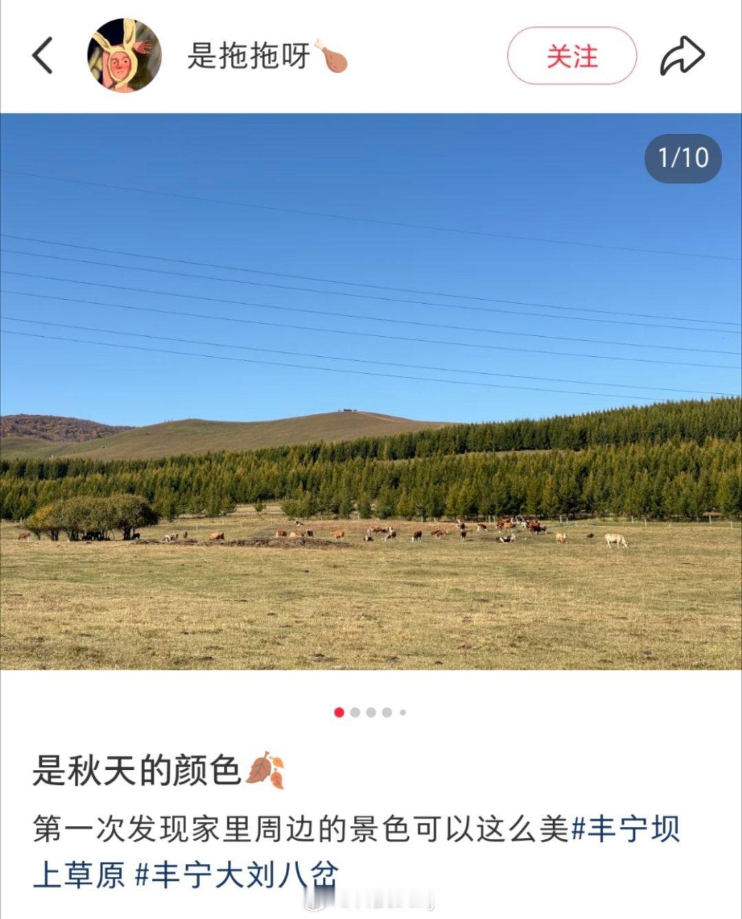 8天长假已过半 我现在还没有出门，今天出游去丰宁坝上草原还来得及吗，不过今天好像