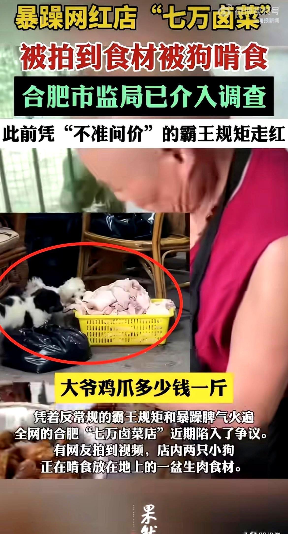 当两只土狗叼着生肉蹲在卤锅边时，合肥新站区泗水路那家“七万卤菜店”，就注定会炸锅