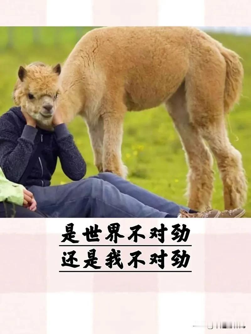 刚刚听到同事给公公打电话：您不在？那我给妈妈打电话吧。
后来给婆婆打电话：您赶2
