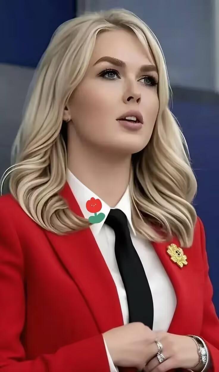 美国白宫传来消息

4月22日，美国白宫新闻秘书莱维特对外宣布，特朗普没给伊朗停