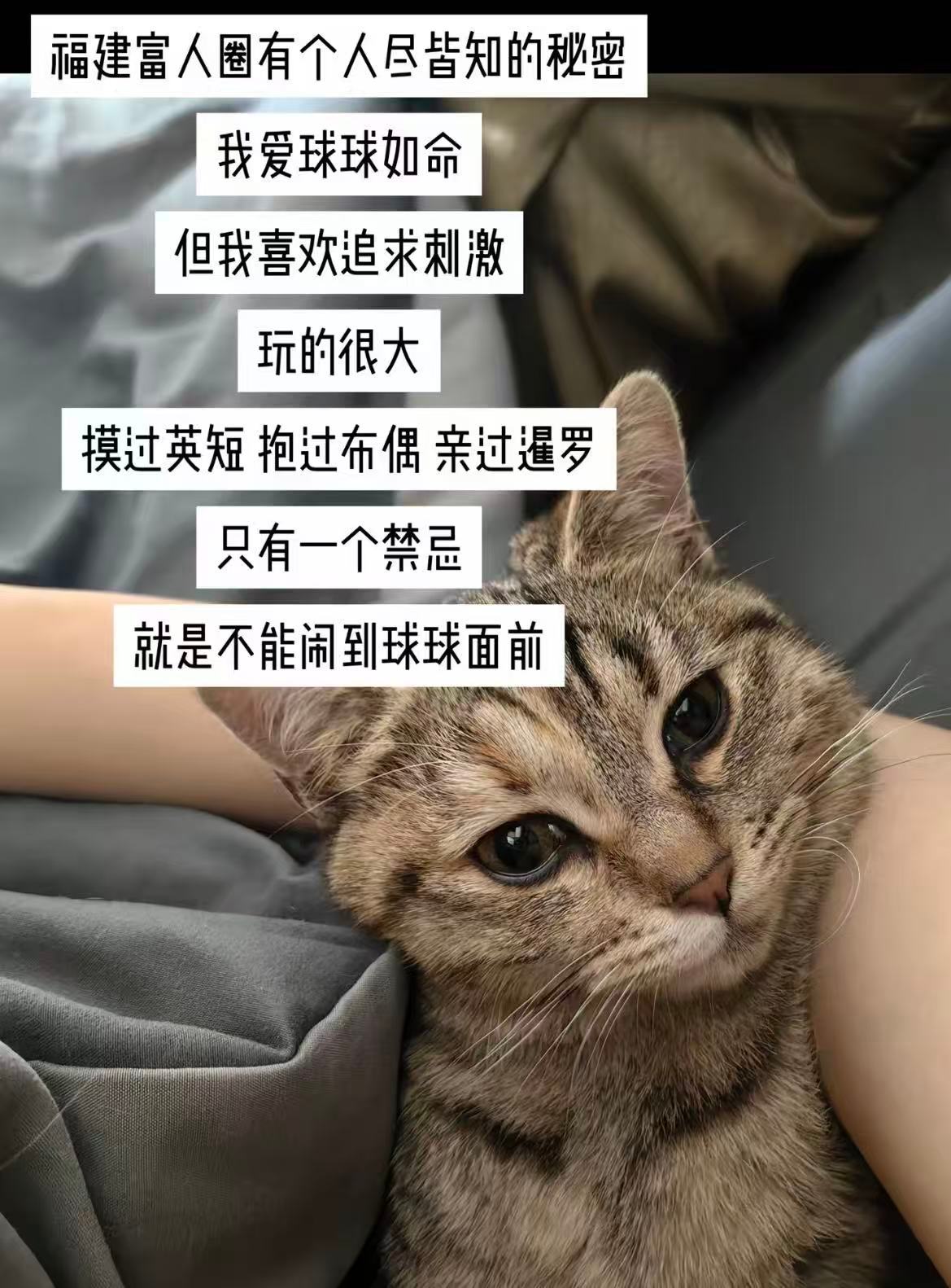 番茄这就是你带出来的兵🤣👌你们现在的首要任务是卸载洋柿子小说 