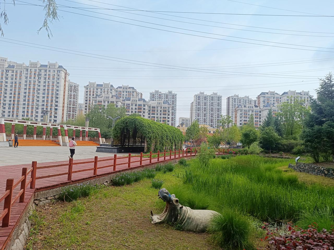 随手拍下初夏美景漫步家门口公园，绿树绕栈道，一隅闲适，藏着平淡日子里的惬意。