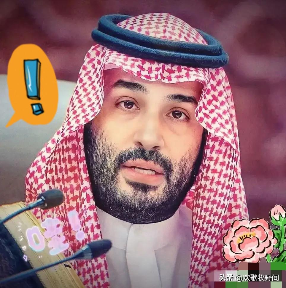 沙特传来新消息
3月11日，沙特阿拉伯港务局宣布了一个重磅消息，他们和全球两大航