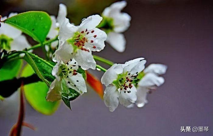 他们在食品里放致癌的添加剂，又在医院张大治疗癌症药物的价格，而身为当代的我们却无
