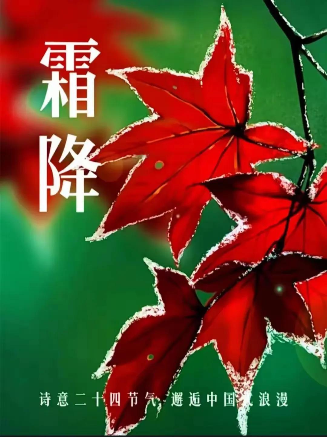 今日霜降
秋寒叶落时，请记得添衣保暖；露往霜来日，请记得微笑面对生活😊

在这